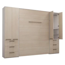 Queen Murphy Bed with Storage Unit -