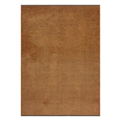 Rust Interior Area Rug - 6 x 9 ft