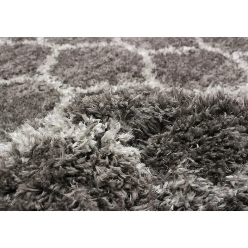 Shag Indoor Rug - 5 x 7