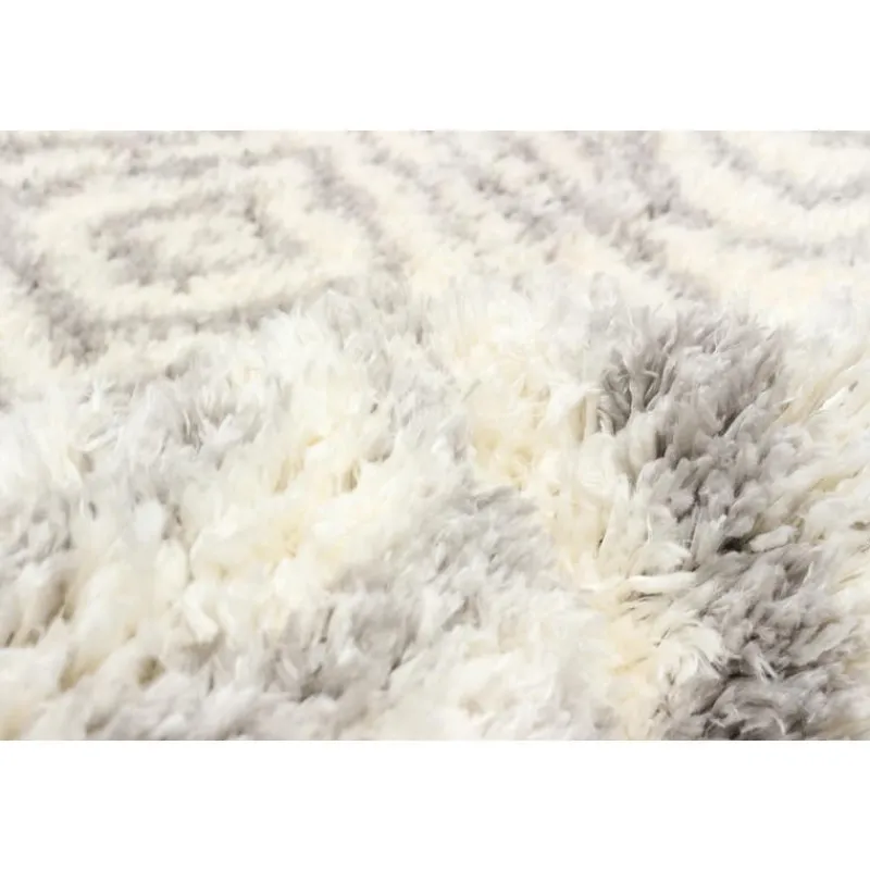 Shag Indoor Rug - 7 x 10