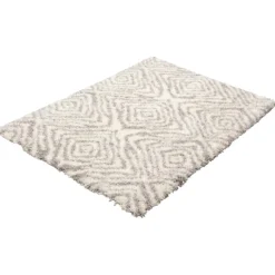 Shag Indoor Rug - 7 x 10