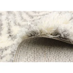 Shag Indoor Rug - 7 x 10