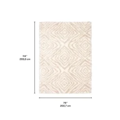 Shag Indoor Rug - 7 x 10