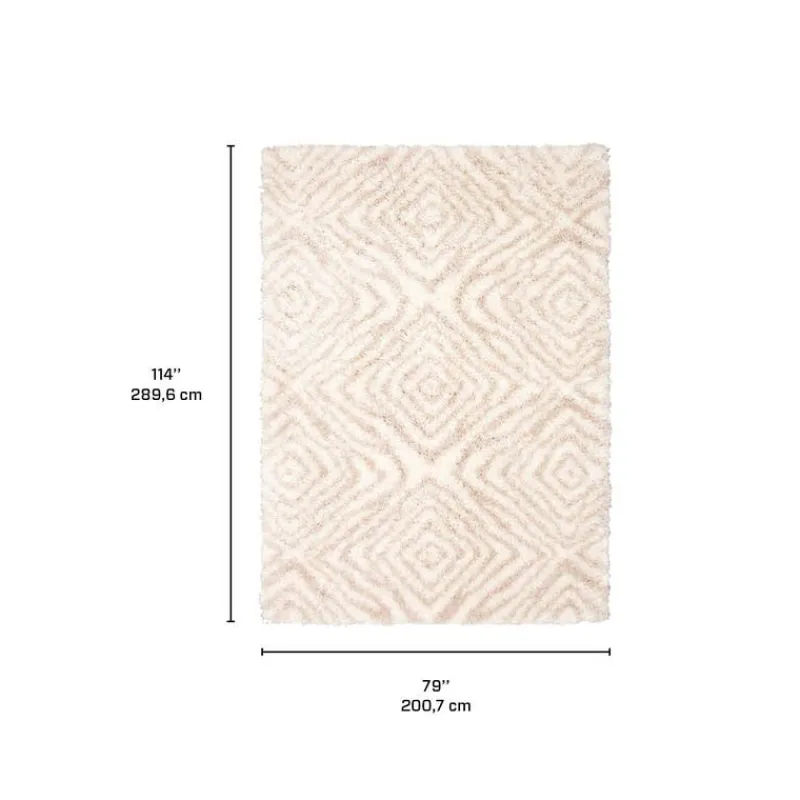 Shag Indoor Rug - 7 x 10
