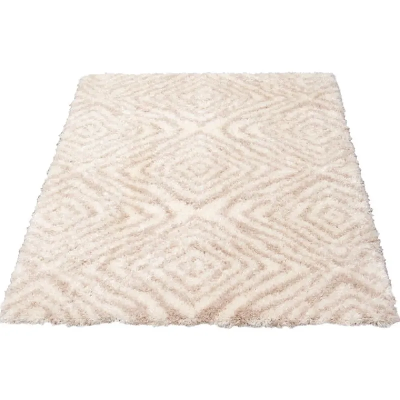 Shag Indoor Rug - 7 x 10