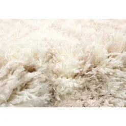 Shag Indoor Rug - 7 x 10