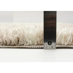 Shag Indoor Rug - 7 x 10