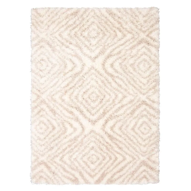 Shag Indoor Rug - 7 x 10