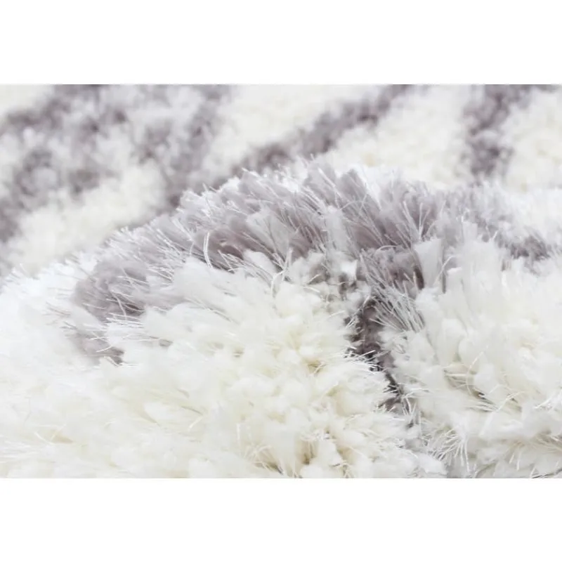 Shag Indoor Rug - 8 x 10