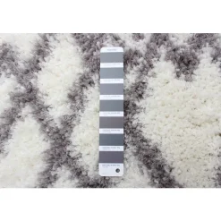Shag Indoor Rug - 8 x 10