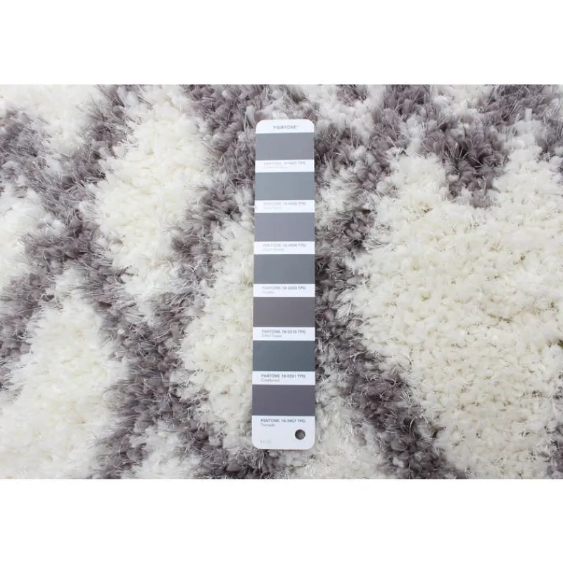 Shag Indoor Rug - 8 x 10