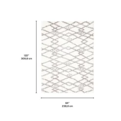 Shag Indoor Rug - 8 x 10