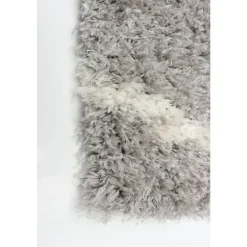 Shag Indoor Rug - 7 x 10