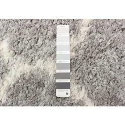 Shag Indoor Rug - 7 x 10
