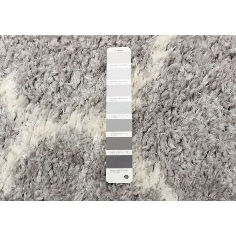 Shag Indoor Rug - 7 x 10