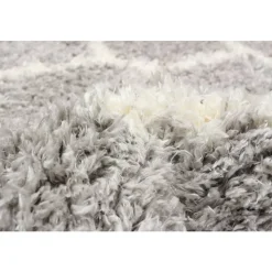 Shag Indoor Rug - 7 x 10
