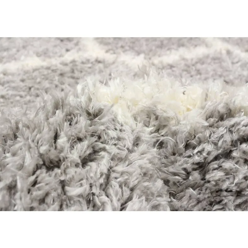 Shag Indoor Rug - 7 x 10