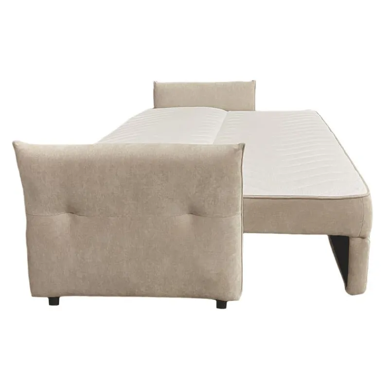 Sleeper Sofa with Storage -