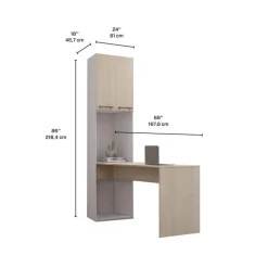 Storage Unit with Desk -
