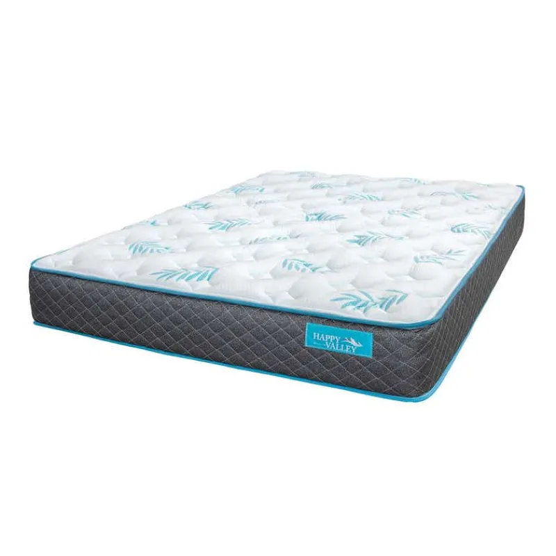 Dreamstar Twin Firm Foam Mattress-in-a-Box - 39"