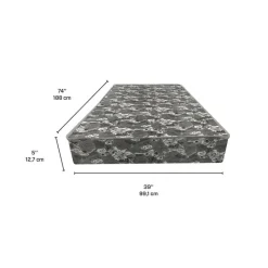 Dreamstar Twin Foam Mattress - 39"