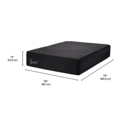 Dreamstar Twin Medium-Firm Memory Foam Mattress-in-a-Box - 39