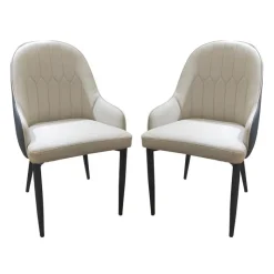 Upholstered Chairs (Set of 2) - and Blue-Grey